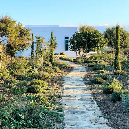 Holiday home Eco-luxe Retreat In Ano Petali, Sifnos