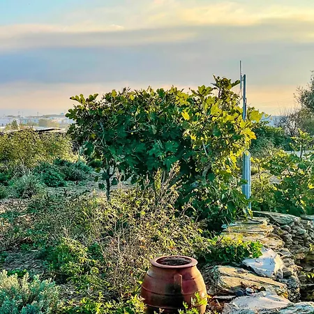 Eco-luxe Retreat In Ano Petali, Sifnos Casa vacanze Apollonia