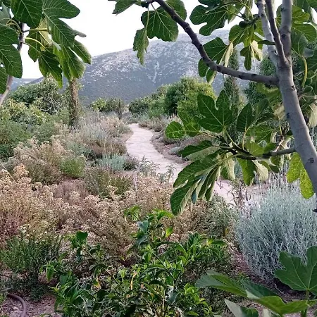 Eco-luxe Retreat In Ano Petali, Sifnos Apollonia (Sifnos)